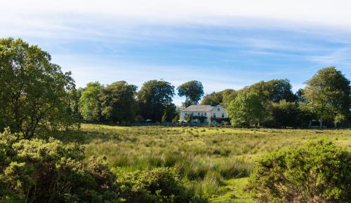 IMG_0081.jpg_1564002532